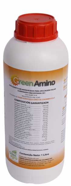 GREEN AMINO